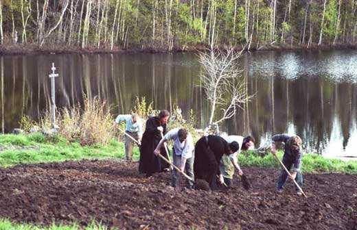 что делать в огороде весной